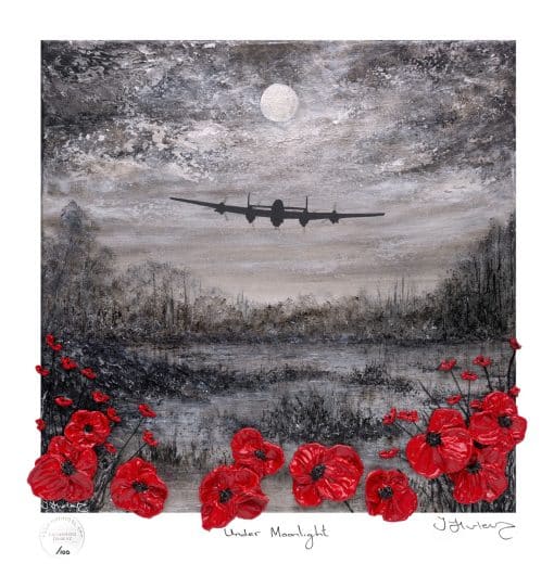 'Under Moonlight' Signed Limited Edition Giclée Print